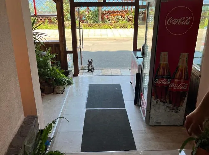 酒店 普罗夫迪夫酒店